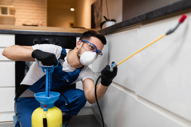 Best Pest Prevention Services  in Morro Bay, CA