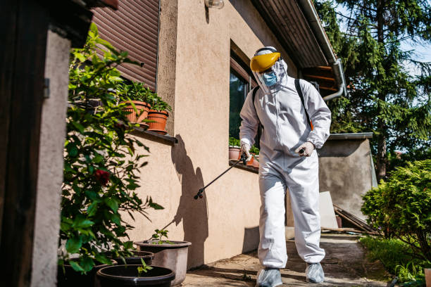 Best Wasp Removal Services  in Morro Bay, CA