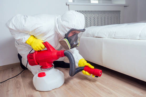 Best Mosquito Control Services  in Morro Bay, CA